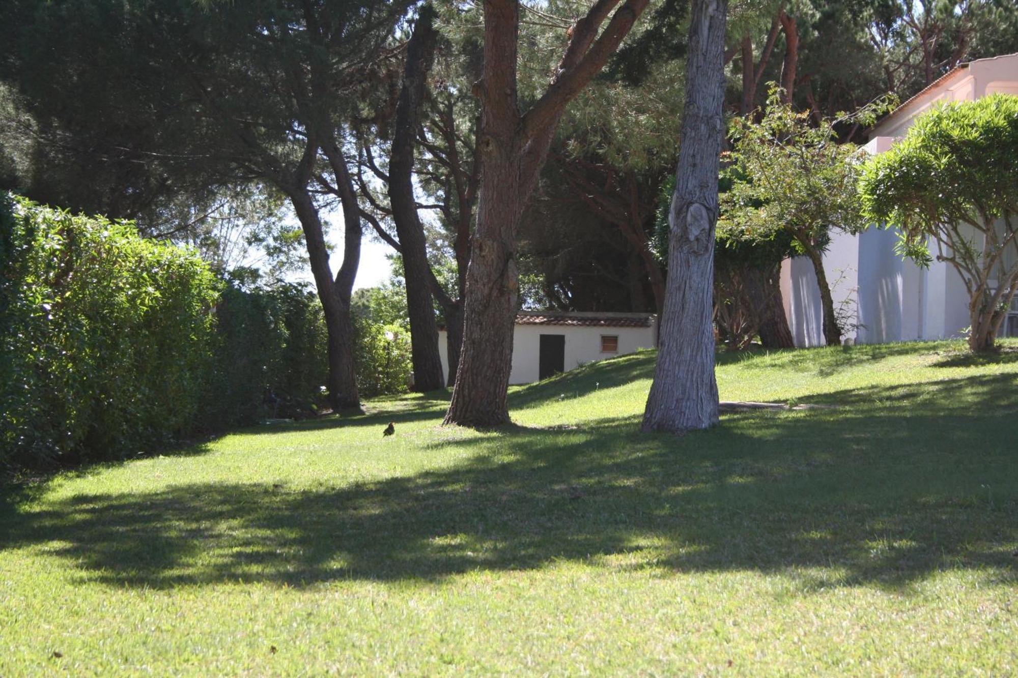 Aldeia Da Falesia Albufeira Exterior photo